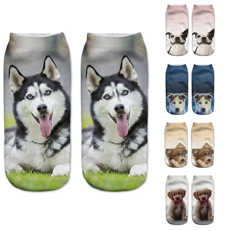 Новые женские цветные хлопчатобумажные носки с изображением бульдога|Носки| |