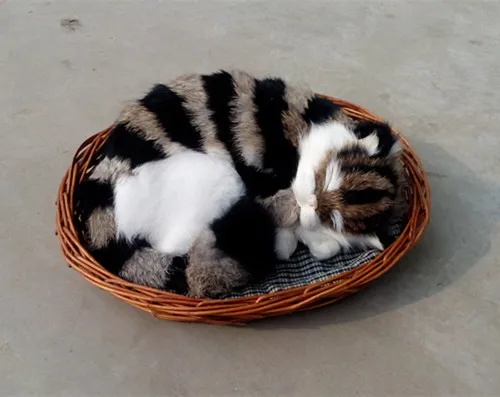 Модель милой спящей кошки 25x21 см, модель из полиэтилена и пуха, модель кошки, реквизит для украшения дома, модель в подарок d420