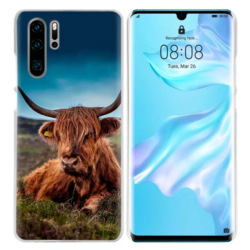 Чехол для huawei P20 P30 P Smart Nova 4 3i P10 P9 P8 mate 10 20 lite Pro Mini