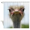 Мотоциклетный винтажный коврик для ванной, нескользящий коврик