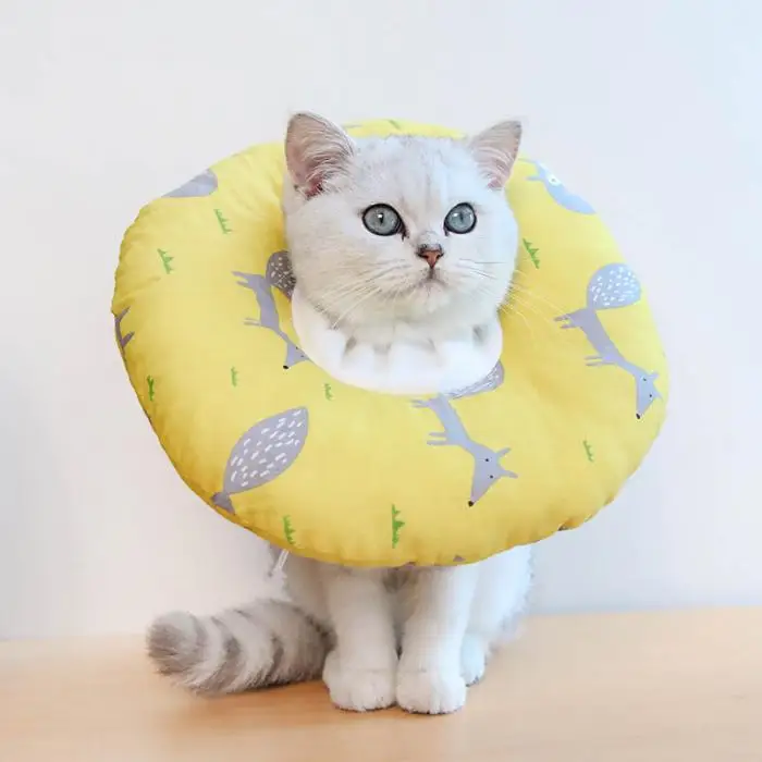 Pet защитный Восстанавливающий декорированный ошейник для кошки анти-Лизуны Elizabeth ошейники для хирургического средства ухода TN99