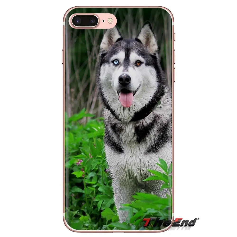 Мягкие чехлы для собак Alaskan Malamute Siberian husky Xiaomi Mi3 Samsung A10 A30 A40 A50 A60 A70 Galaxy S2 Note 2 Grand Core