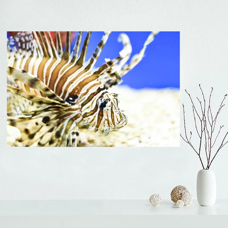 

Красивый индивидуальный плакат Lionfish на стену для гостиной, художественный плакат, украшение из шелковой ткани, яркая гладкая, без рамки, сов...