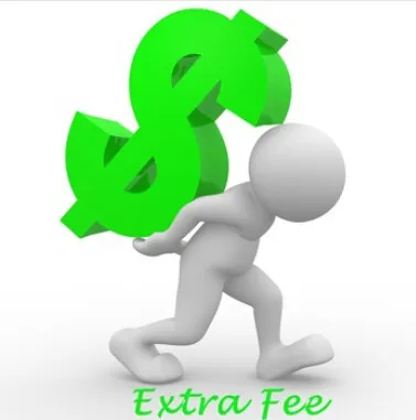 

Additional Pay on Your Order: for Freight / Your special requirement and other fee as our agreement