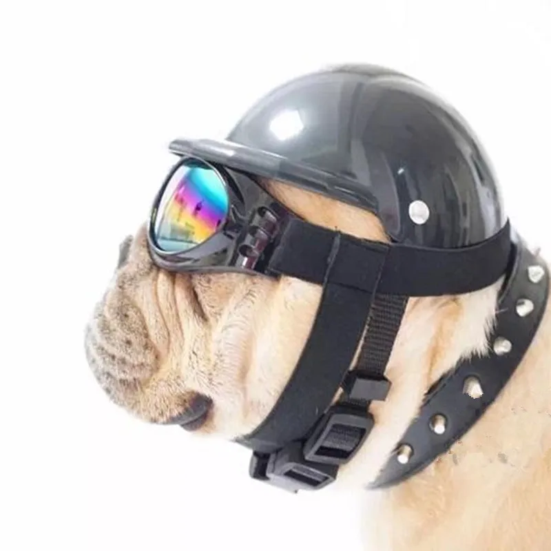 Чехол для шлема с солнцезащитными очками домашних животных|dog helmet|cap dogdog hat cap |