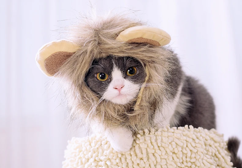 Hoopet кошка костюм одежда Кепка забавная шляпа Лев грива парик шляпа вечерние аксессуары для косплея