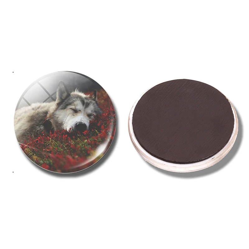 PACK OF 1 1 шт. волк воет на Луну магнит на холодильник стеклянный купольный кабошон животное холодильник наклейка Wolfs сообщение держатель аксессуары для дома - Цвет: PACK OF 1