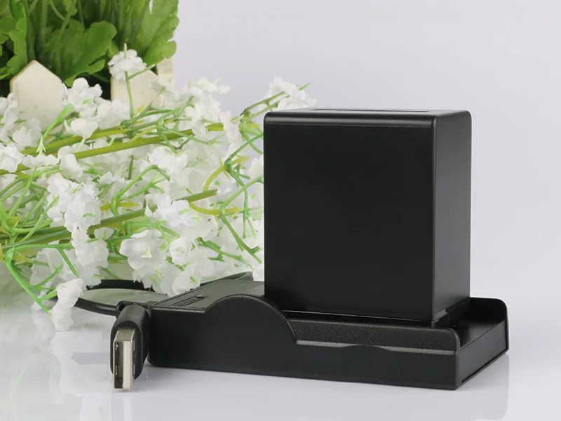 Lanfulang NP-FH100 NP FH100 Перезаряжаемые батарея для цифровой камеры+ Micro USB Зарядное устройство для sony DCR-DVD610 DCR-DVD650 DCR-DVD708