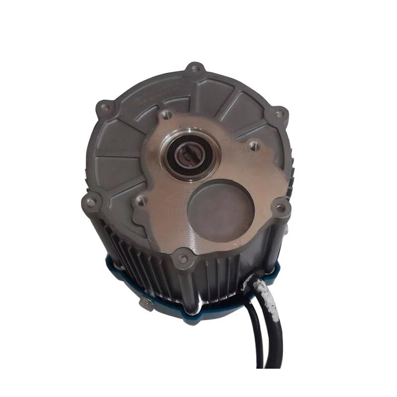 BM1418W-12B 300 Вт 500 650 750 48 в 60 В постоянного тока постоянный магнит бесщеточный