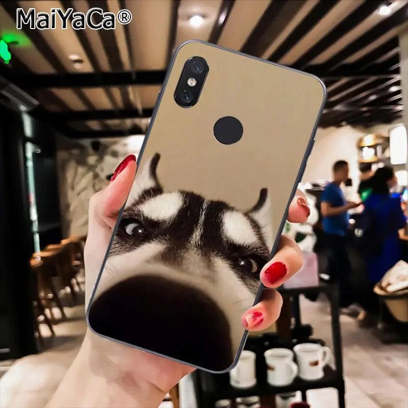 MaiYaCa породы Хаски; милый щенок собака чехол для телефона для Xiaomi Redmi8 4X 6A S2 7A 6A Redmi 5 5Plus Note5 7 Note8Pro - Цвет: A5