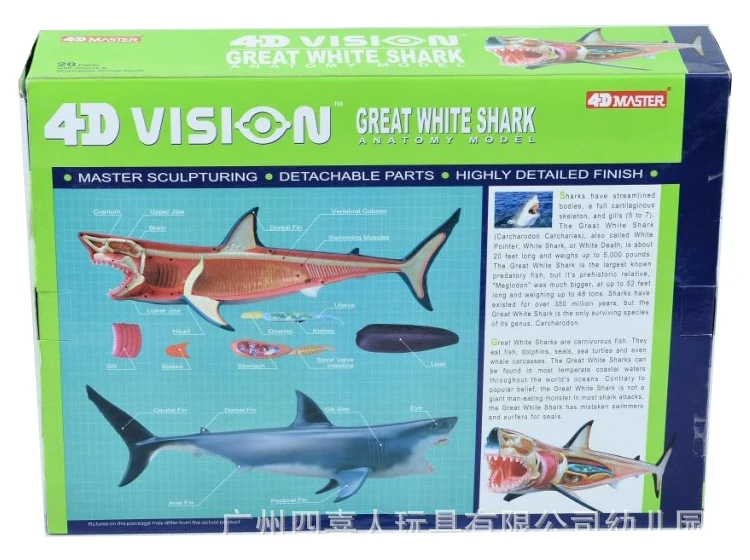 Обучающие 4D DIY Master игрушки для детей классная Анатомия Skelekon mkd2 фигурка рыбы