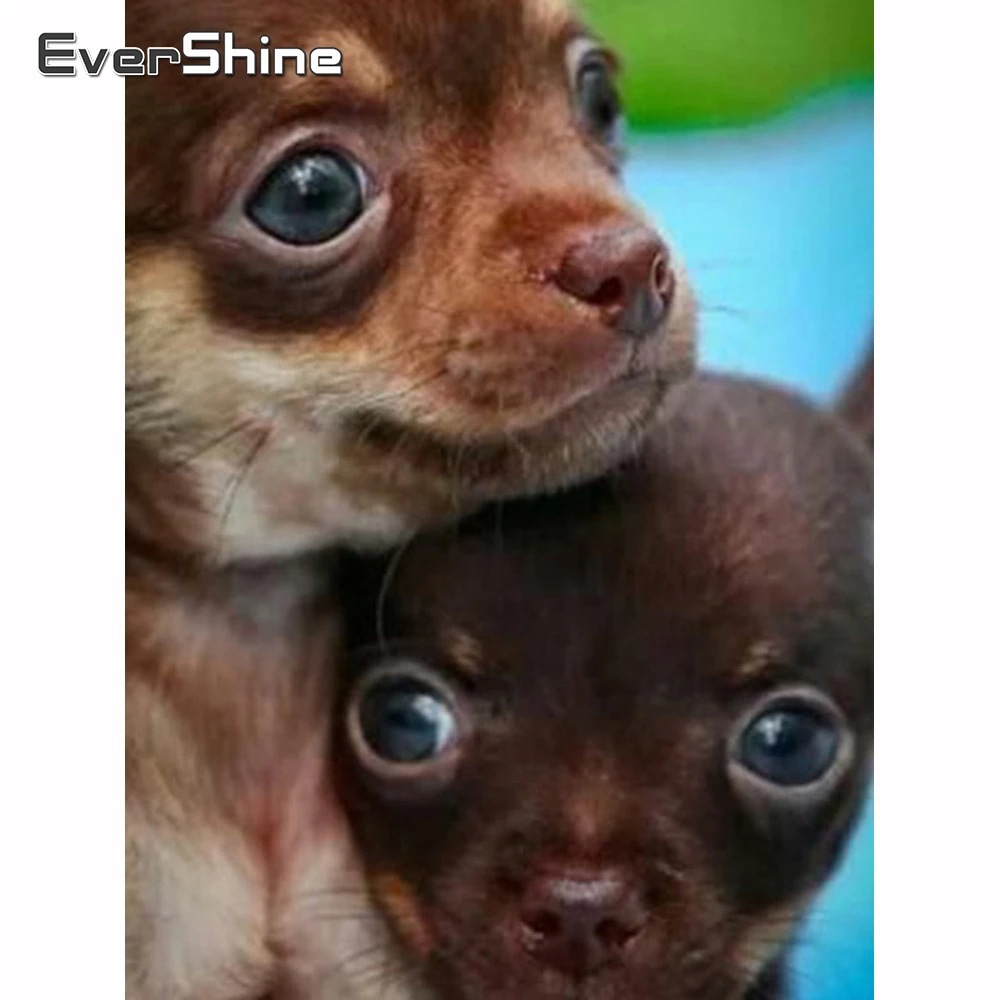 Алмазная 5D картина Evershine с собаками вышивка животными полная выкладка мозаика из