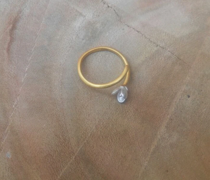 925 серебро двухцветный цвет открытие женский кольцо ювелирных изделий Цветы