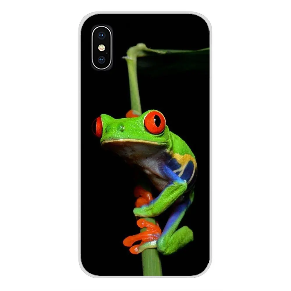 Для Huawei P8 9 Lite Nova 2i 3i GR3 Y6 Pro Y7 Y8 Y9 Prime 2017 2018 2019 мягкий прозрачный чехол лягушки A rainbow