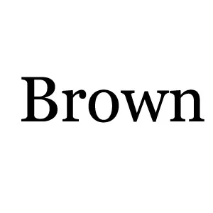 ILP Новое поступление Модная женская рубашка - Цвет: LP Brown