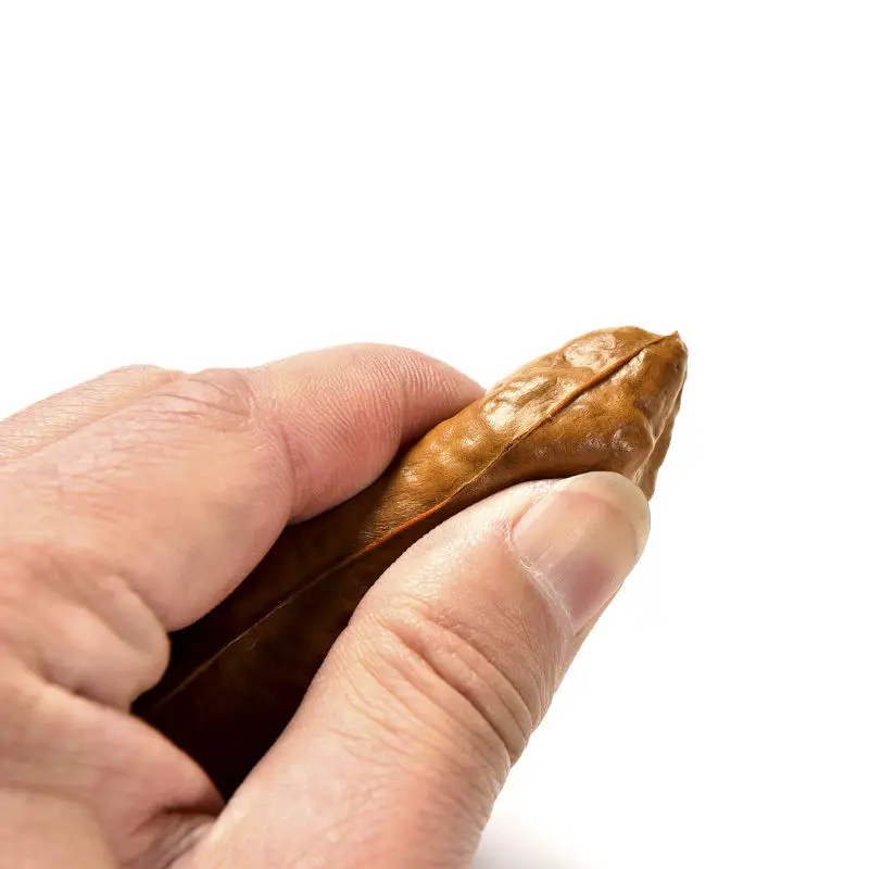 

1Pc Amazing Turd Gag Gift Realistic Fake Turd Classic Joke Funny Gadgets Creative Products Fake Dog Poop Toys