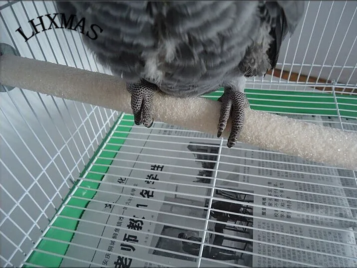 Красочный Попугай подставка лапа шлифовка Чистая Птица перчи Жевательная птица