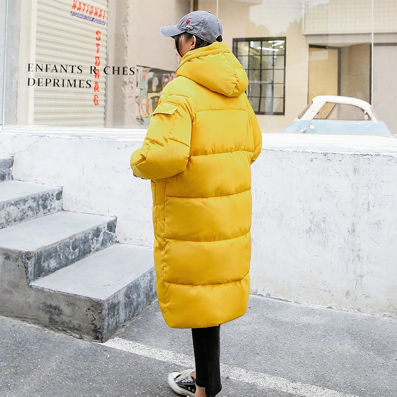 2019 зимняя женская куртка в Корейском стиле с капюшоном и двумя большими