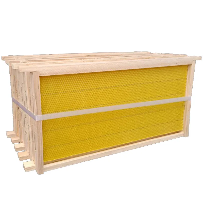 

Honeycomb Bee Nest Bee Hive Beekeeping Tool Beehive Frames For Flow Hive 10pcs