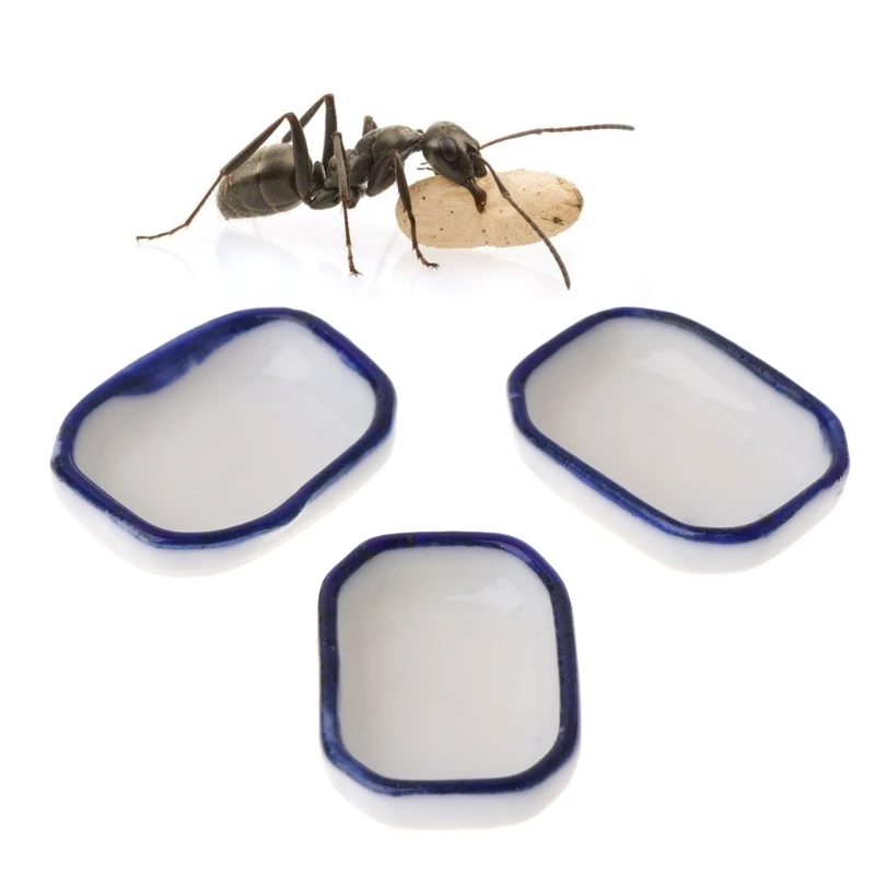 3 шт. муравьиная ферма кормушка для пищевых продуктов гнездо насекомых дом вилла