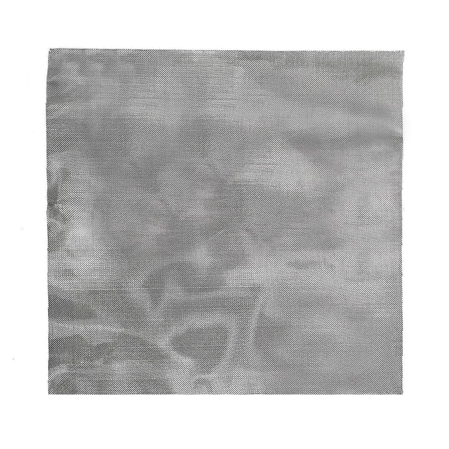 200 сетка для фильтрации проволоки из нержавеющей стали 30 см x (сверхтонкая)