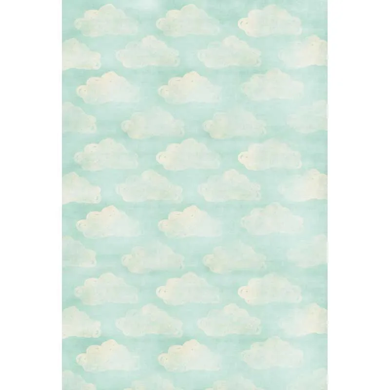 

Vinyl Photography Background computer printed Children baby Photography Backdrops for Photo Studio Free shipping F-1496