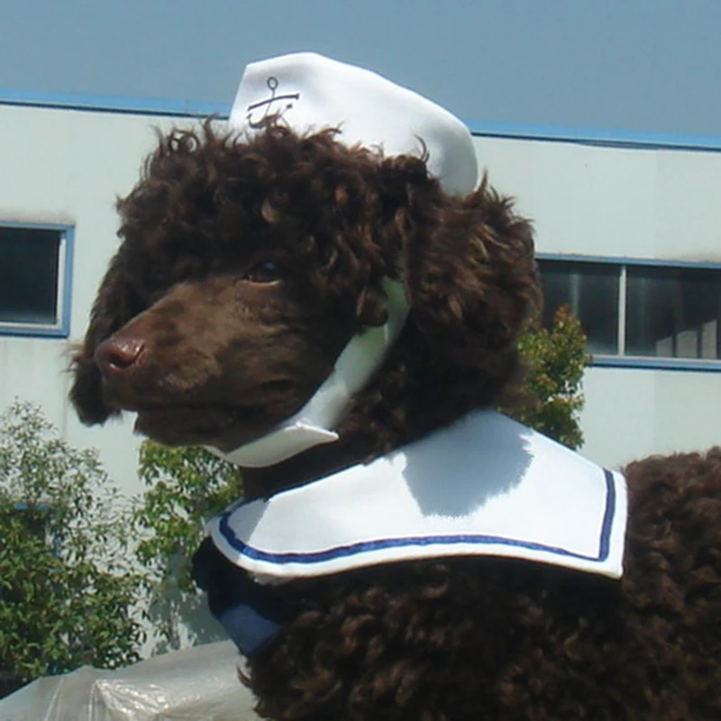 Комплект одежды и шапки для домашних животных модная одежда маленьких собак