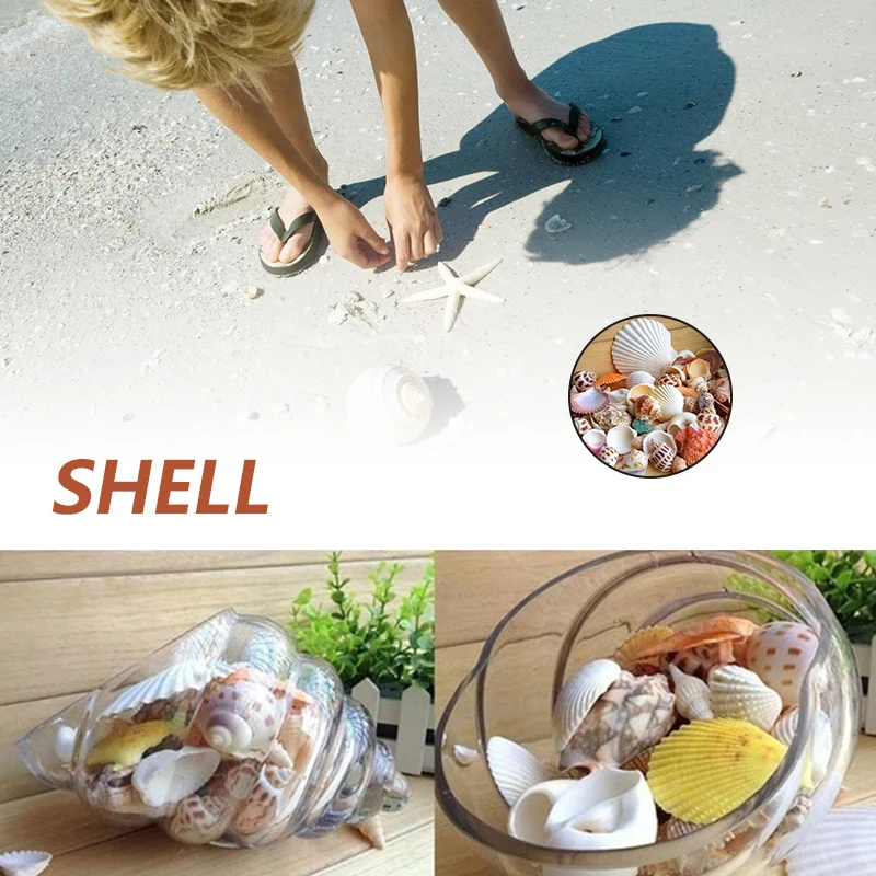 100 г пляжная ракушка в средиземноморском стиле сделай сам модный смешанный