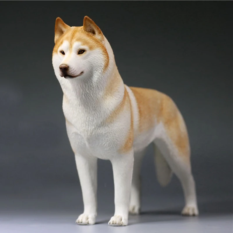 Модель Mnotht 1/6, модель Siberian Husky, игрушки для моделирования, модель собаки для 12 дюймов, фигурка, игрушка l30, коллекция, хобби, PRE-SALE