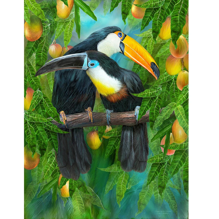 

Алмазная вышивка Toucan с животными, наборы для вышивки крестиком, рисунок 5D, алмазная живопись своими руками, рукоделие, круглые стразы
