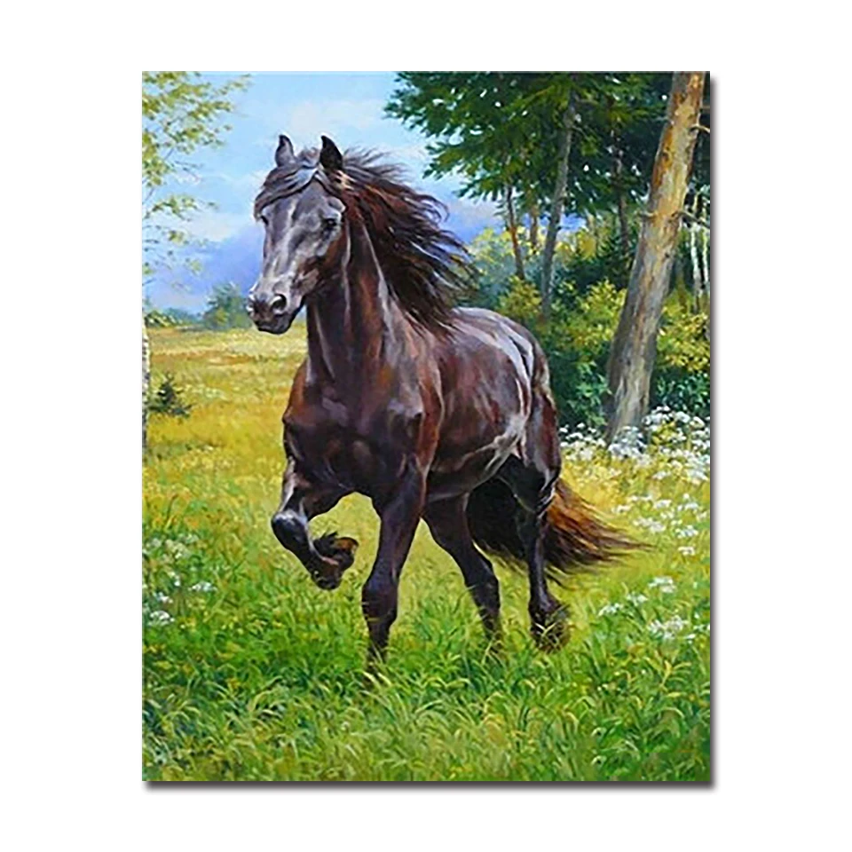 DIY Painting By Numbers Kits Drawing Animals Hand Paint Home Decor Black Horse Oil Pictures Abstract Canvas Wall Art Unique Gift | Дом и сад
