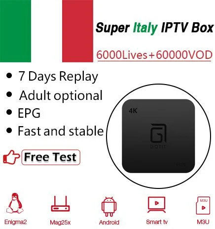 ТВ-бокс GOTIT S905+ Италия IP tv для взрослых Германия Albanian Europe IPTV, Amlogic S905W H.265 WiFi Android OS Smart tv Box 1G/8G