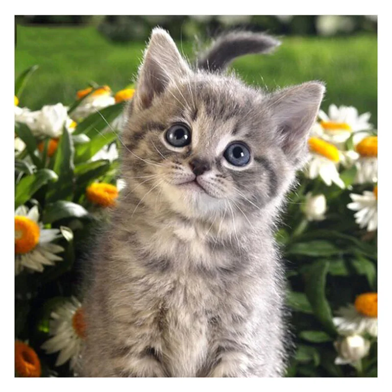 Новогодняя 5D алмазная вышивка сделай сам набор для вязания Кот ручной работы