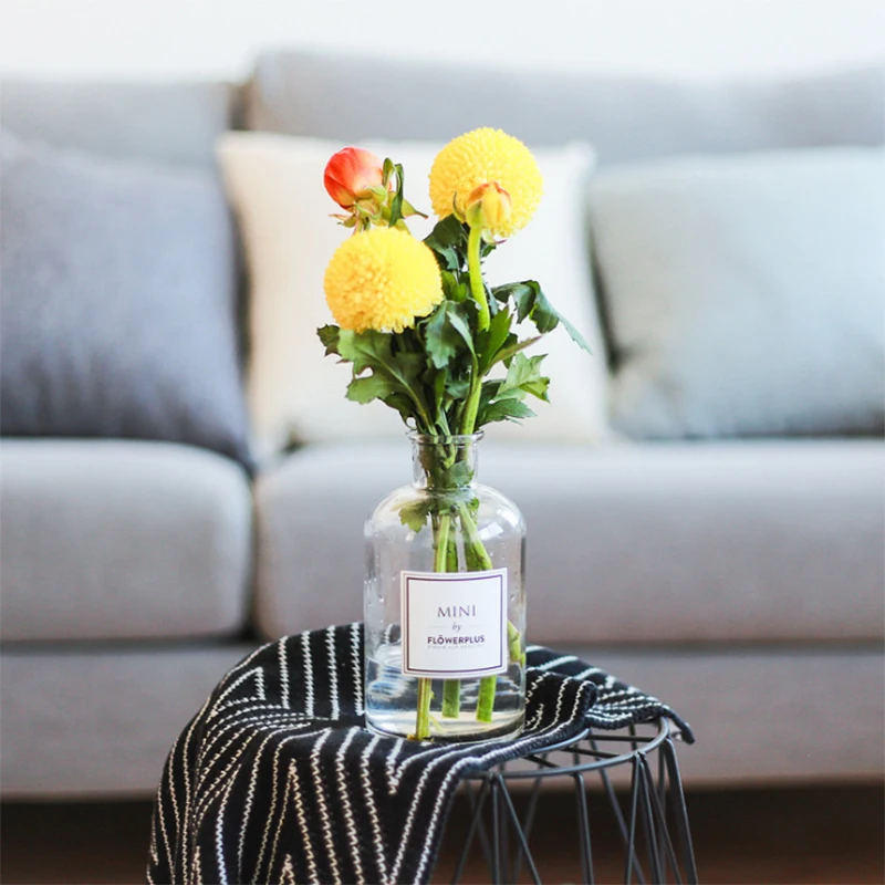 RUX WORKSHOP Wedding decoration glass vase Home Decoration small Transparent Ater plant Hydroponic Pot Flower | Дом и сад