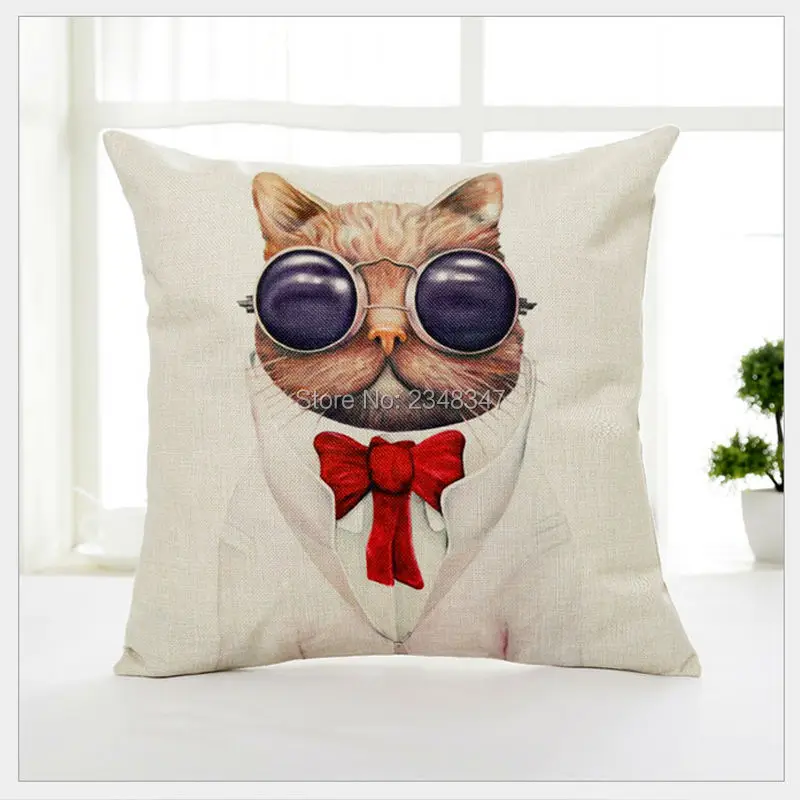 Восхитительный котенок животное собака бульдог одежда очки кошка подушка