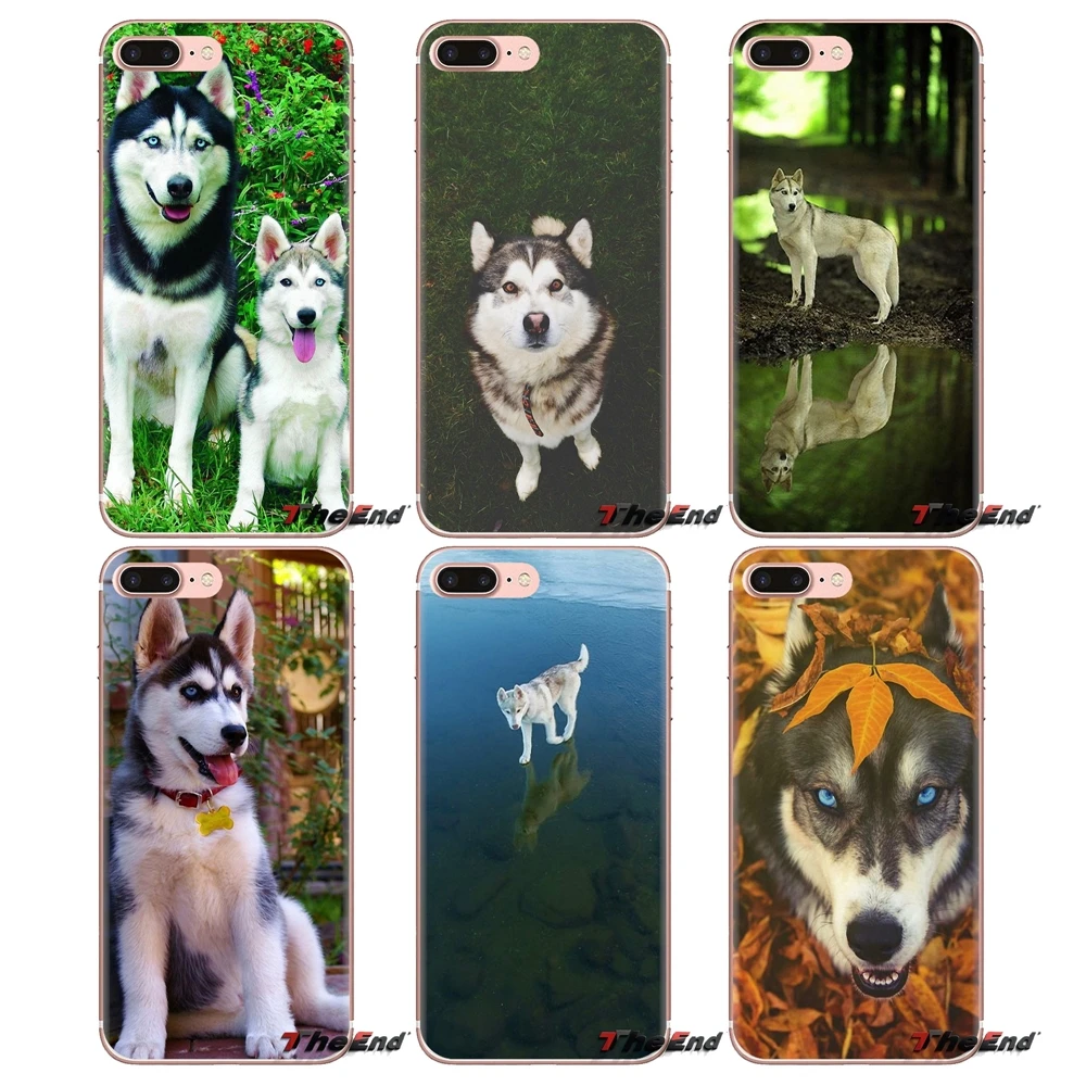 Soft Transparent Cases For Huawei Mate Honor 4C 5C 5X 6X 7 7A 7C 8 9 10 8C 8X 20 Lite Pro Siberian Husky Dog puppies Art Pattern |