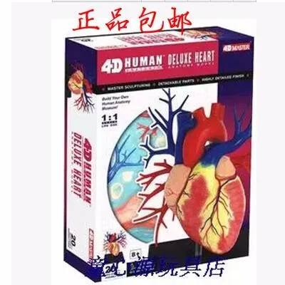 4D MASTER Puzzle сборный человеческий пазл сердца модель 160 мм* 130 мм* 210 мм