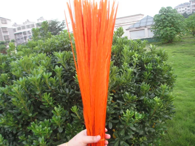 orange 50/партия Красивых Перьев Фазана 55-60 см различные цвета на выбор танцевальное торжество DIY Украшение - Цвет: orange