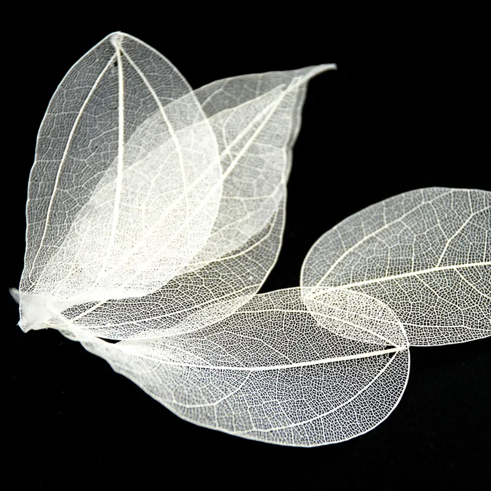 Leaves White Украшения для ногтей Стразы сушеные цветы лист аксессуары для ногтей 3D дизайн аксессуары камни Кристаллы принадлежности для маникюра - Цвет: Leaves White