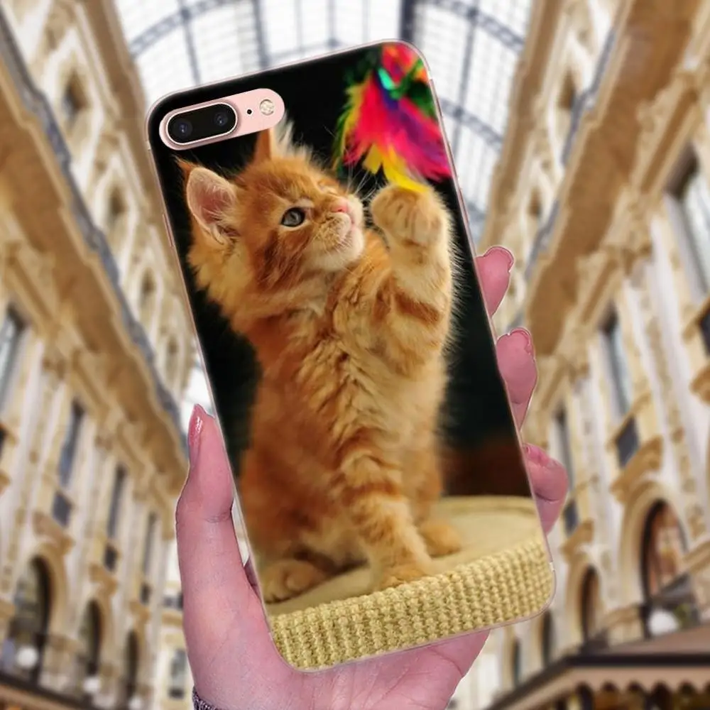 Чехол из ТПУ для Apple iPhone X XS Max XR 4 4S 5 5C 5S SE 6 6S 7 8 Plus | Мобильные телефоны и аксессуары