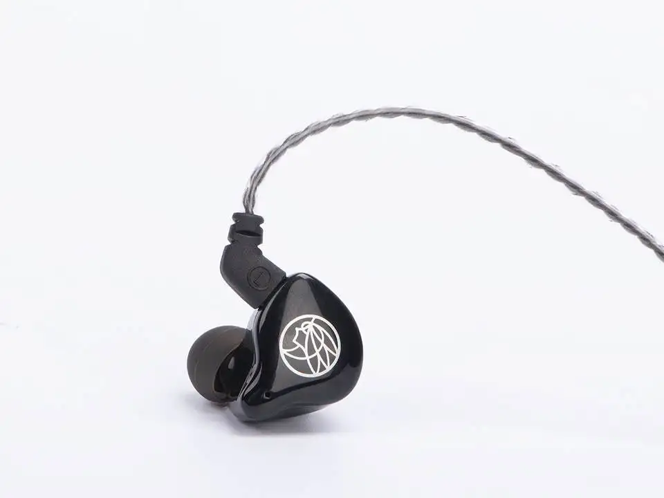 TFZ T1s Динамический драйвер 12 мм двойная магнитная цепь Графен HiFi наушники-вкладыши