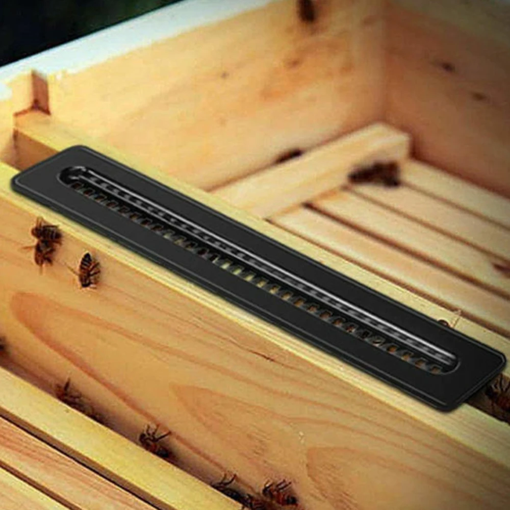 Useful10PCS черный маленький пчелиный улей Beetle Blaster ловушка для пчеловодства