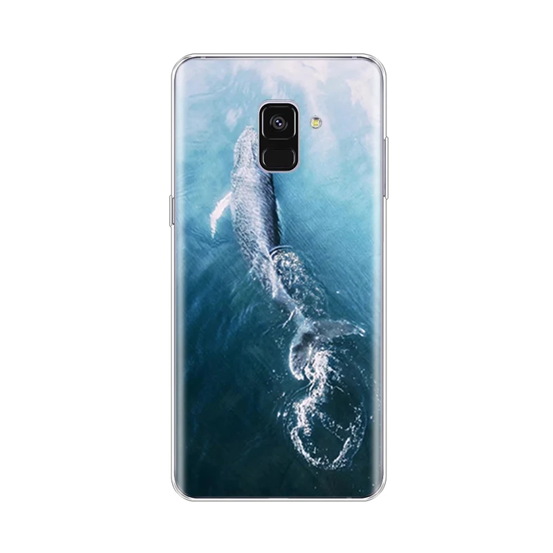 Мягкий чехол для телефона из TPU для Samsung Galaxy A8 2018 A530 A530F силиконовый чехол Plus A730 A730F прозрачный.