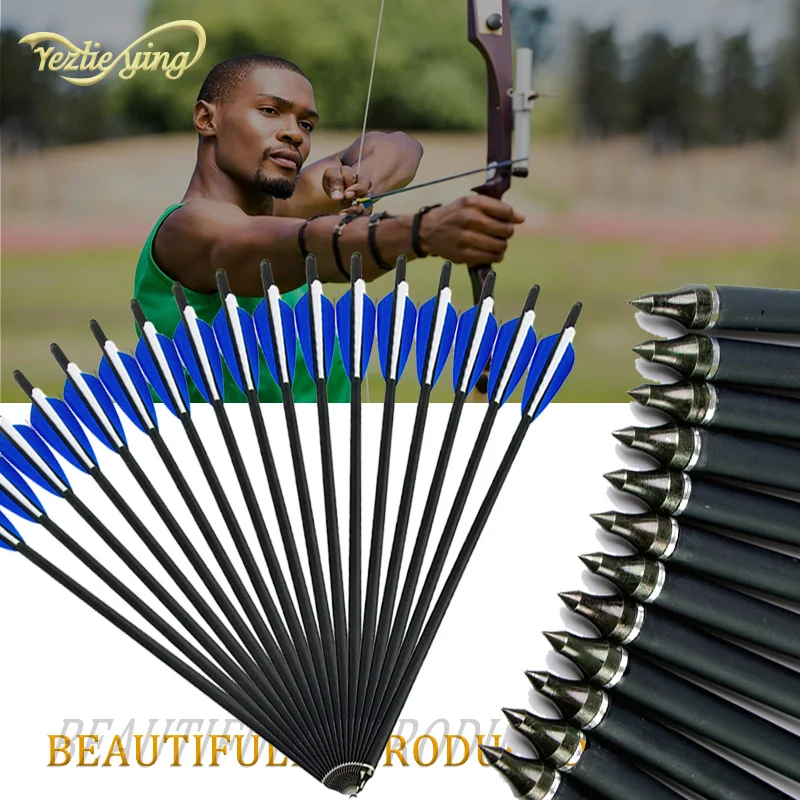 

12PCS 16/20-Inch Crossbow Bolt Carbon Arrows Blue/White Feathers Replaceable Arrowheads for Bow and Arrow Hunting Archery