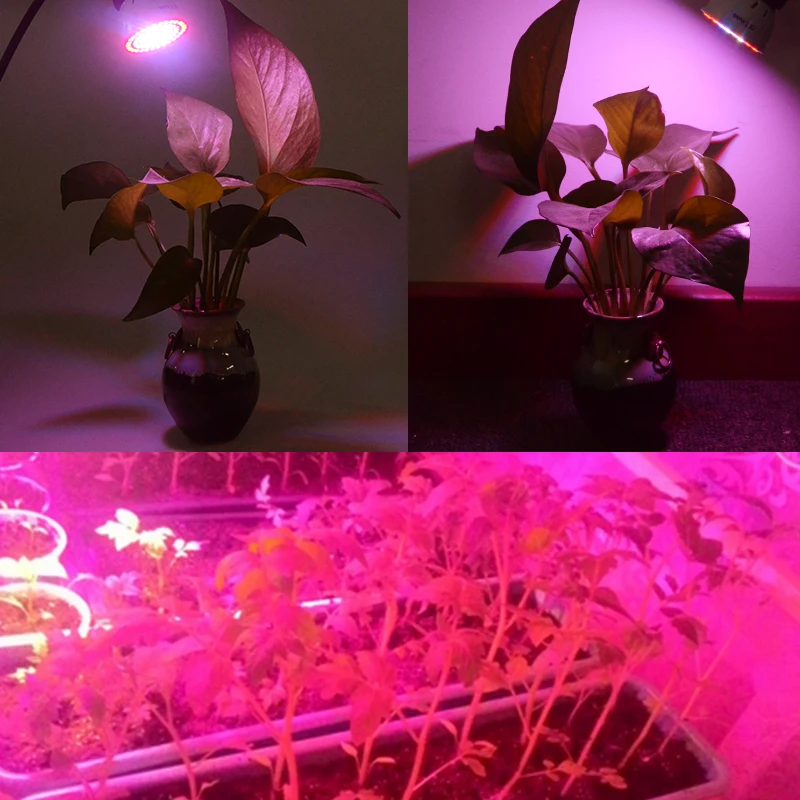 

E27 LED Bulb Grow Light Lamp AC 220V 36 Led 54 Leds 72 Leds Spotlight Full Spectrum Grow Lamp For Flower Hydroponics Plant Light