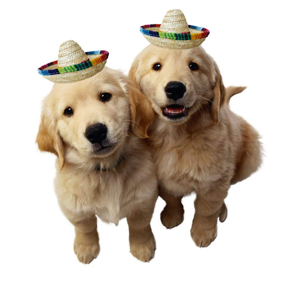 Decoration Gift Dog Cap Toy Mexican Style Straw Hats Home Party Accessory Mini Eco-friendly Desktop Birthday Colorful Edges |