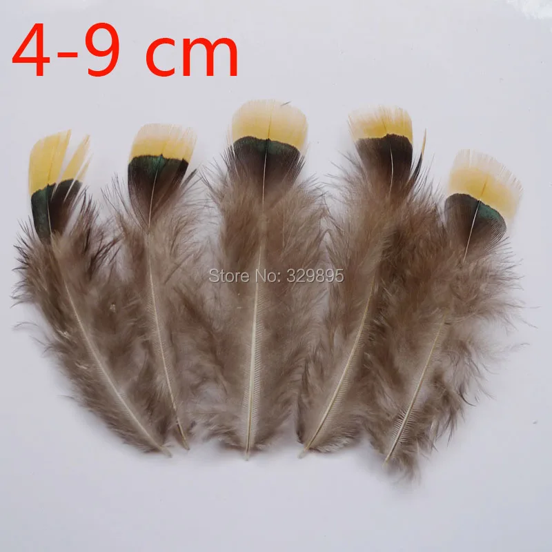Дешево! 20 штук 15 видов фазан хвост курица, гусь страусиные перья для маски ремесла платье Головные уборы рождественские украшения DIY