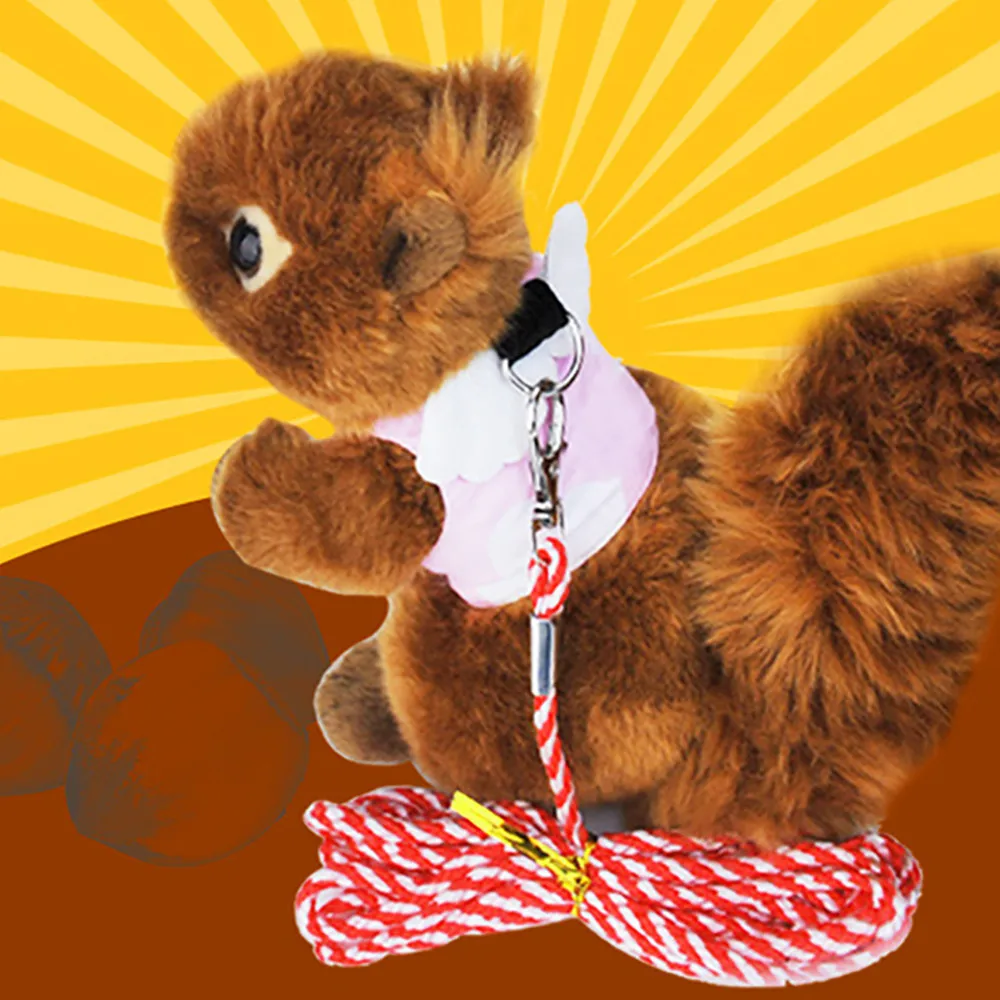 Cute Squirrel Harness Leash Small Pet Vest Suit Outdoor Jogging 1pcs Chest strap With1pcs traction rope Dog Supplies@30 | Дом и сад