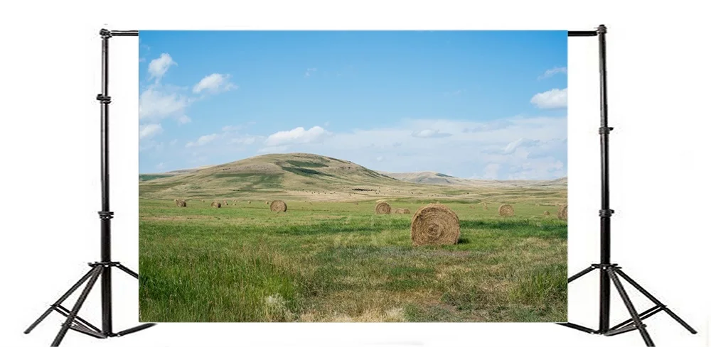 Laeacco Blue Sky Cloud Hay Stack Grassland Scenic Photographic Backgrounds Customized Photography Backdrops For Photo Studio | Электроника