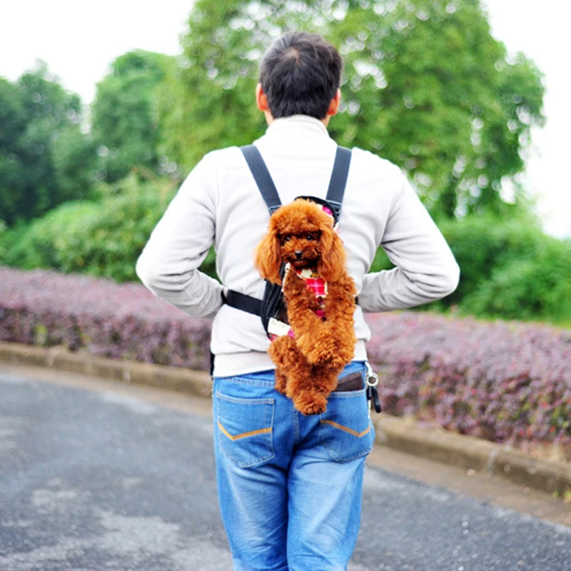 Переноска для щенков сумка маленьких собак нагрудный Рюкзак кенгуру мам| |